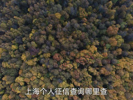 上海個人征信查詢哪里查