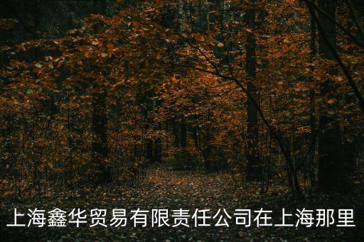 上海鑫華貿易有限責任公司在上海那里