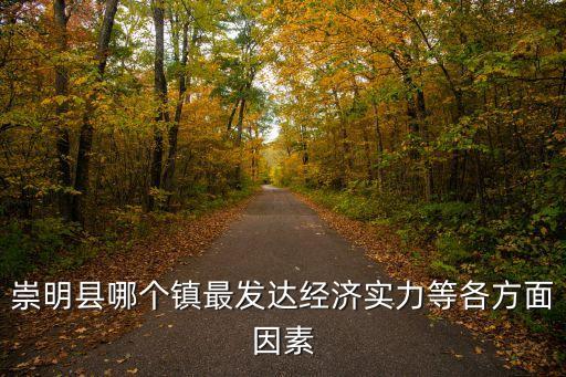 上海市經濟發達鎮，崇明縣哪個鎮最發達經濟實力等各方面因素