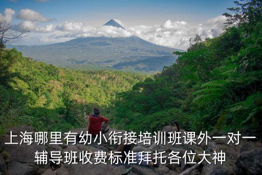 上海市教育附加費培訓，上海市的教育附加稅是如何計算出來的