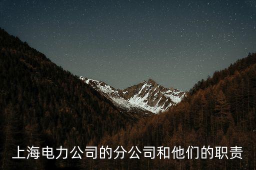 上海市供電公司組織架構(gòu)，有人知道電力公司的組織構(gòu)架嗎 多謝啦