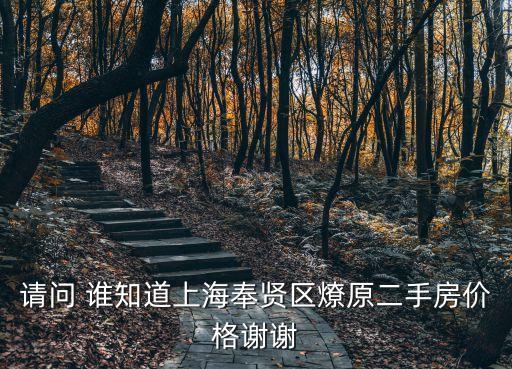 上海市奉賢區(qū)海灣鎮(zhèn)燎北村，請問 誰知道上海奉賢區(qū)燎原二手房價格謝謝