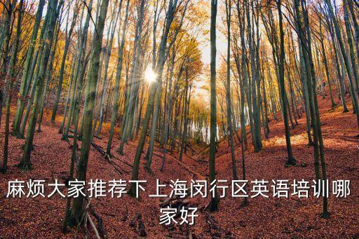 麻煩大家推薦下上海閔行區英語培訓哪家好