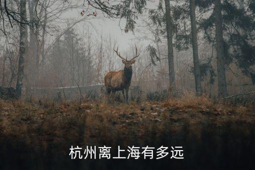上海市與杭州市距離，上海到杭州有多遠