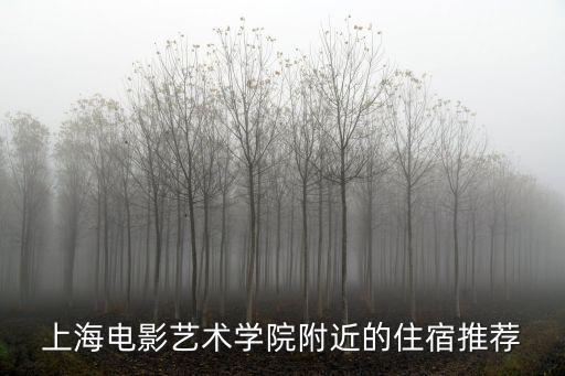 上海市科苑路88號賓得，上海站到浦東區張江科苑路88號德國中心怎么做地鐵