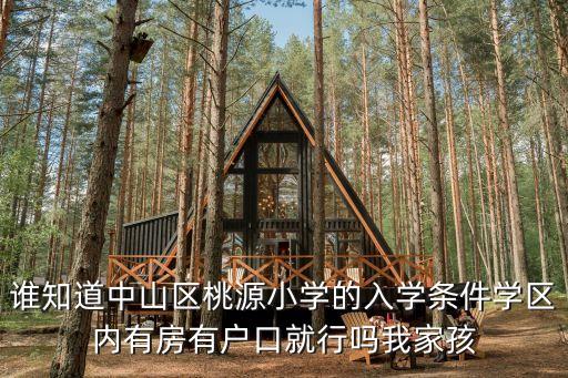 誰(shuí)知道中山區(qū)桃源小學(xué)的入學(xué)條件學(xué)區(qū)內(nèi)有房有戶(hù)口就行嗎我家孩