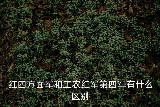 第四軍，國民革命時期的第四軍