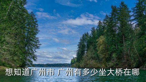 想知道廣州市 廣州有多少坐大橋在哪