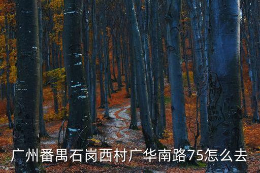 廣州番禺廣場石崗村，廣州番禺石崗西村廣華南路75怎么去
