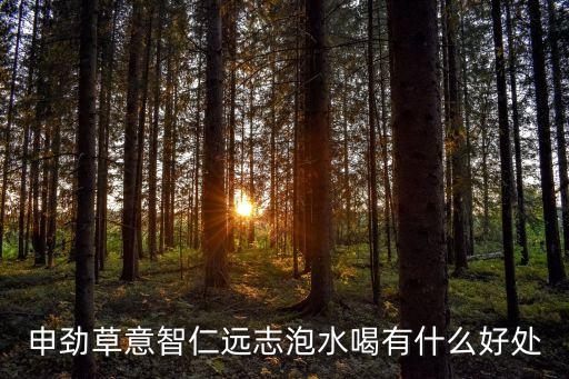 遠志泡水喝的功效，遠志 益智仁 伸筋草喝了有什么好處