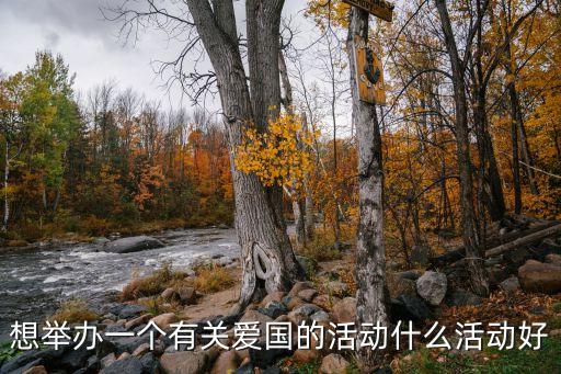 想舉辦一個有關愛國的活動什么活動好