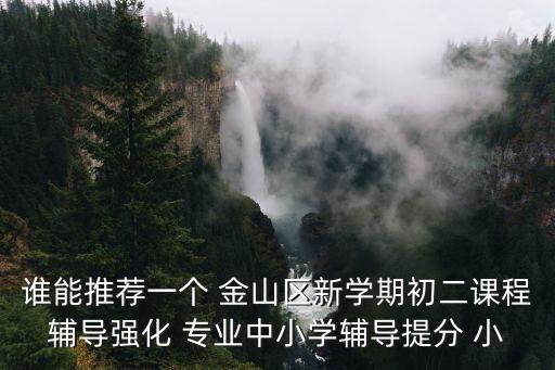 上海市金山區(qū) 彭宏，誰能推薦一個 金山區(qū)新學(xué)期初二課程輔導(dǎo)強(qiáng)化 專業(yè)中小學(xué)輔導(dǎo)提分 小