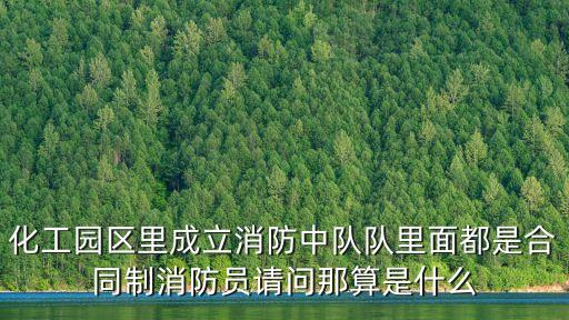 上海市化工區消防，上海市目前共有多少個消防中隊