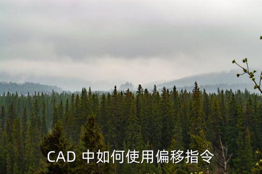 CAD 中如何使用偏移指令