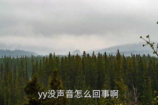yy沒聲音，yy沒聲音怎么回事啊