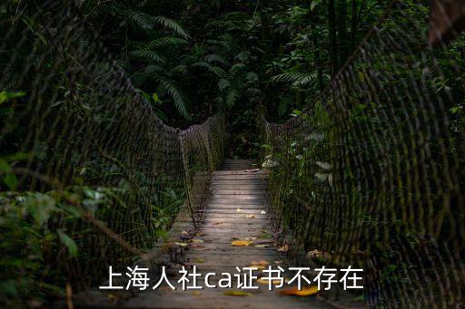上海人社ca證書不存在
