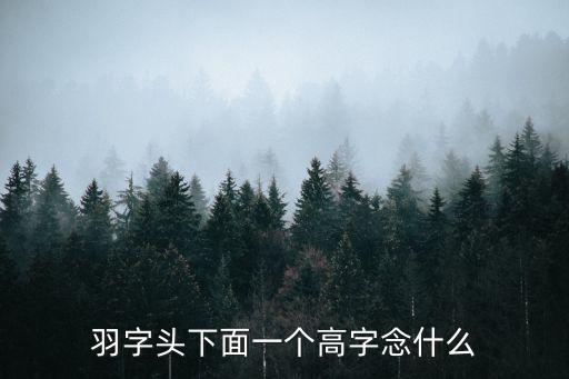 羽字頭下面一個高字念什么