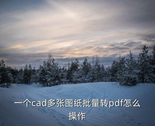 一個cad多張圖紙批量轉(zhuǎn)pdf怎么操作