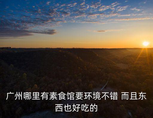 廣州哪里有素食館要環境不錯 而且東西也好吃的