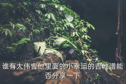 小幸運吉他，誰有大偉吉他里面的小幸運的吉他譜能否分享一下