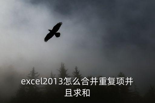 excel2013怎么合并重復項并且求和
