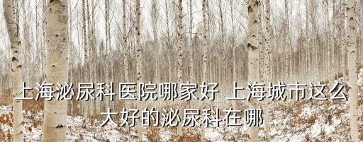 上海市翟必槐，收到上海賡興投資管理咨詢有限公司上海市靜安區萬航渡路849號海