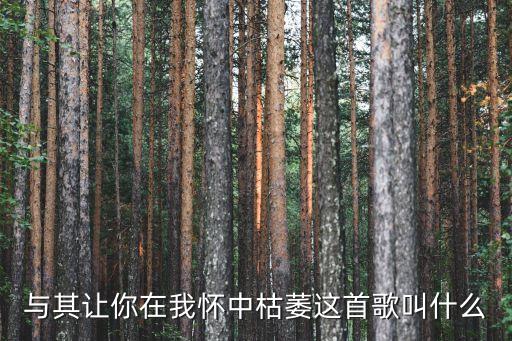 與其讓你在我懷中枯萎是什么歌，與其讓你在我懷中枯萎這首歌叫什么