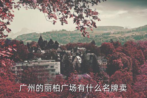 廣州的麗柏廣場有什么名牌賣