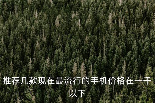 推薦幾款現在最流行的手機價格在一千以下