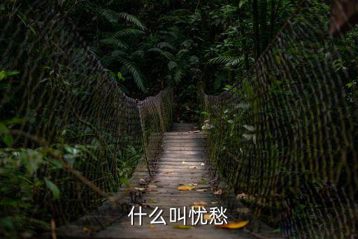 憂愁是什么意思，憂愁的意思