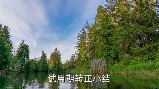 試用期轉正工作總結，試用期結束轉正前的工作總結