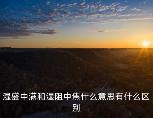 濕盛中滿和濕阻中焦什么意思有什么區別