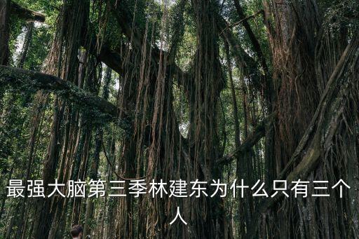 最強大腦第三季林建東為什么只有三個人