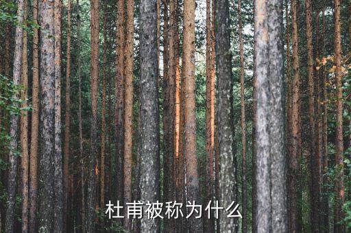 杜甫被稱為什么