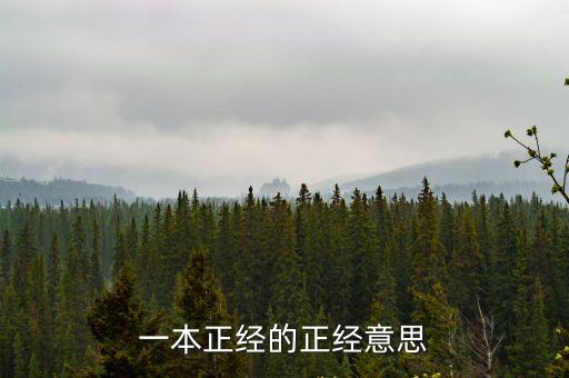 正經(jīng)的意思，十二正經(jīng)的介紹