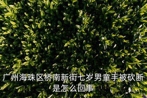 廣州海珠區(qū)橋南新街七歲男童手被砍斷是怎么回事