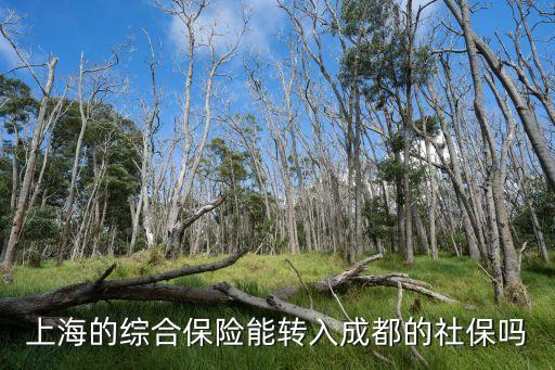 上海市社保 成都，上海的綜合保險(xiǎn)能轉(zhuǎn)入成都的社保嗎