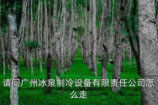 雪冰泉制冰機售后廣州，廣州哪兒有制冰機賣