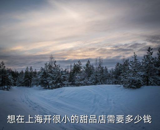 上海市甜品加盟，上海紅寶石蛋糕可以加盟嘛