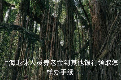 上海市極夜退休人員養老金發放，上海退休人員養老金到其他銀行領取怎樣辦手續