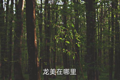 廣州番禺龍美在哪里，廣州番禺區龍美在哪里