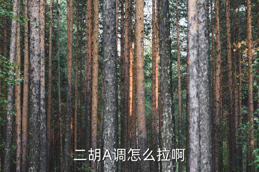 怎樣拉二胡，二胡C調(diào)有低怎么拉