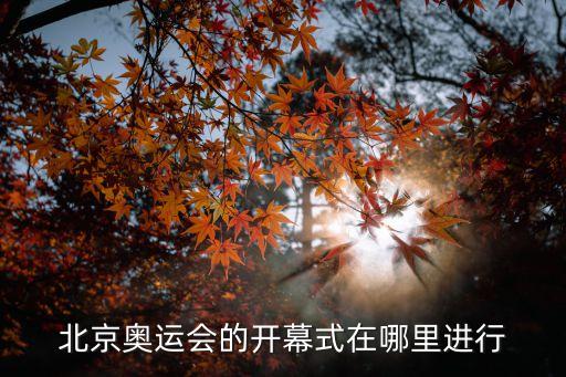 北京冬奧會開幕式，北京奧運會的開幕式在哪里進(jìn)行