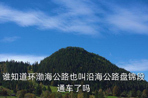 沿海公路，誰知道環渤海公路也叫沿海公路盤錦段通車了嗎