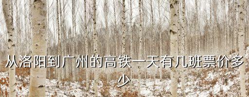 從洛陽到廣州的高鐵一天有幾班票價多少