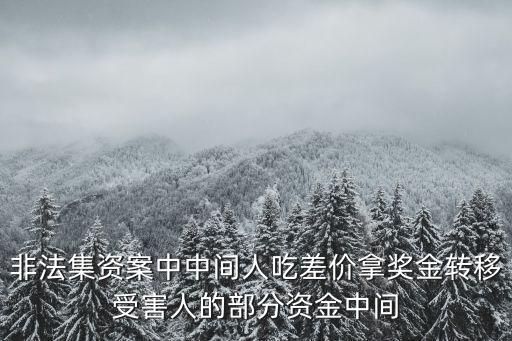 廣州共贏非法集資案，非法集資案件倆人在逃1人被取保候審有結案日期