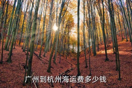 廣州到杭州海運費多少錢