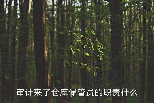 審計(jì)來(lái)了倉(cāng)庫(kù)保管員的職責(zé)什么
