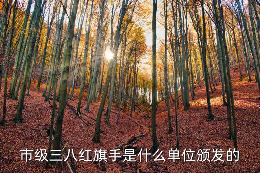廣州三八紅旗手集體工作室，市級(jí)三八紅旗手是什么單位頒發(fā)的