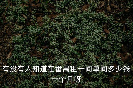 廣州番禺時代外灘月租，有沒有人知道在番禺租一間單間多少錢一個月呀